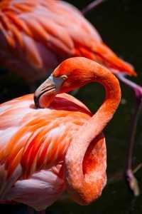 【行動心理学】真逆?首をかしげる触るしぐさとは?