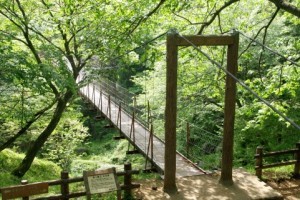 【人間心理学】脳が勘違いを?恋愛の意味がわからなくなる吊り橋効果