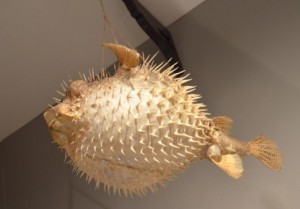 【行動心理学】それはなぜ?頬を膨らませる、つねるしぐさの意味するのは?