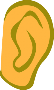 ear-305303_640